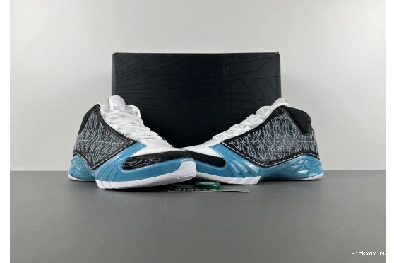  318376-041 23 318376-041 Jordan  UNC 0520